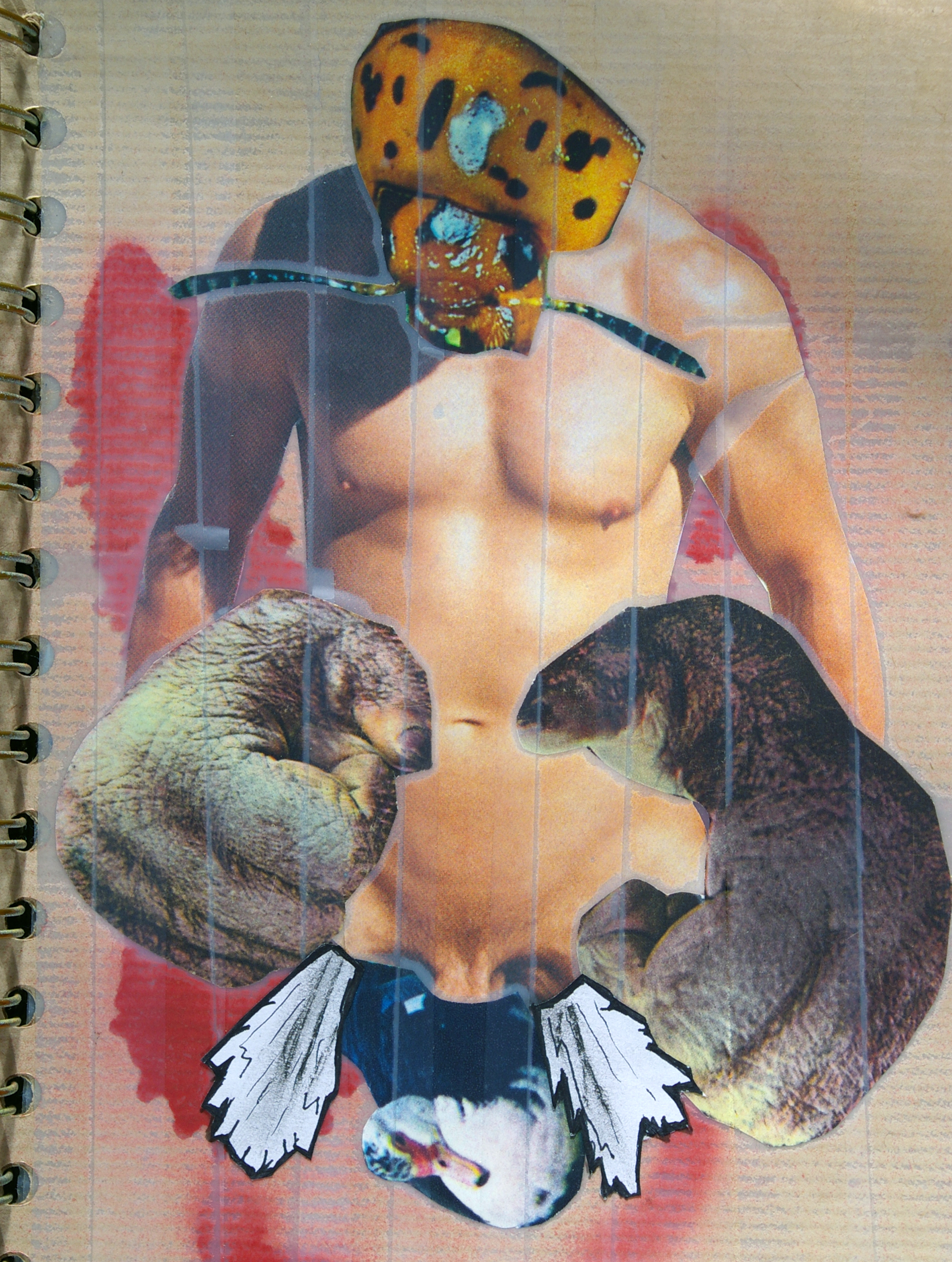 beastyality photo