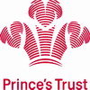 The Princes Trust